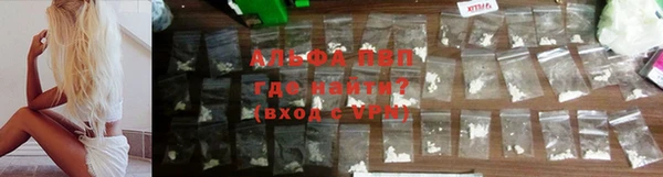 спайс Беломорск