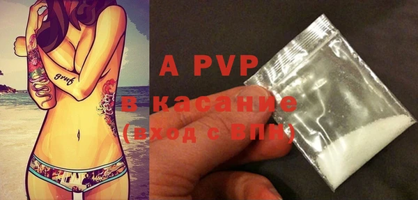 индика Баксан