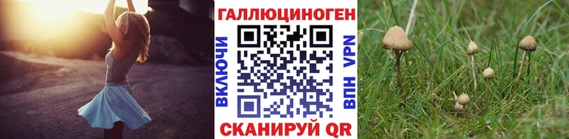 Галлюциногенные грибы Psilocybine cubensis Мариинский Посад
